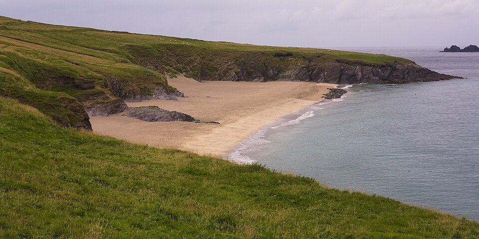 Sandy beach on Great Blasket Island beneath green hills, with seals gathered near the shoreline.