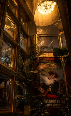 Warmly lit interior of Café du Parc in Killarney, with mirrored walls, tropical plants and a vintage Cinzano advertisement.