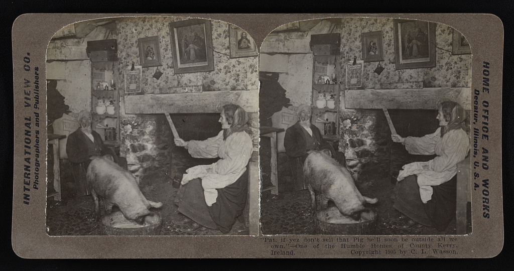 Historic stereograph showing a man and woman seated beside an open hearth inside a County Kerry cottage, with a pig standing between them, circa 1905.